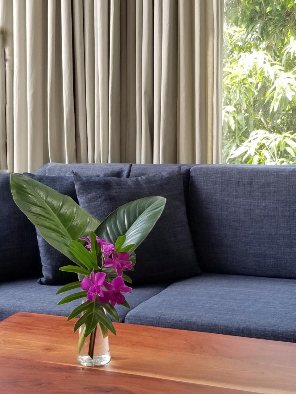 סיאם ריפ Angkor Siesta Villa מראה חיצוני תמונה